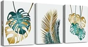 Cuadros Monstera Deliciosa Plantas Verdes