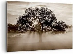 Cuadros Decoracion Salon arbol campo