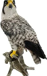 Estatua de halcón peregrino -