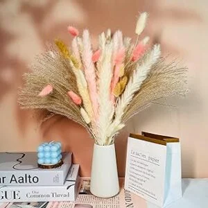 Flores secas Decoracion Pampas Secas