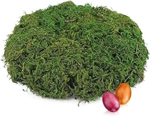 com-four® 200 g de Musgo