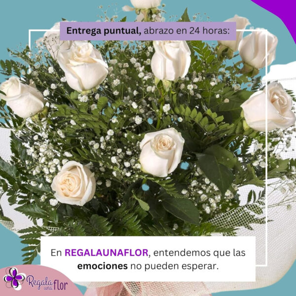 REGALAUNAFLOR | Ramo de flores naturales a domicilio | Entrega puntual en 24 horas de Lunes a Sábado | Con tarjeta dedicatoria | 12 rosas blancas - Imagen 2