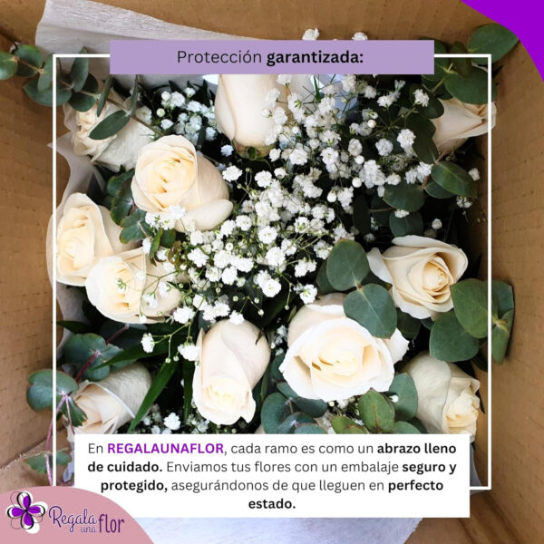 REGALAUNAFLOR | Ramo de flores naturales a domicilio | Entrega puntual en 24 horas de Lunes a Sábado | Con tarjeta dedicatoria | 12 rosas blancas - Imagen 6