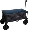 Aktive 62620 - Carro transporte plegable, para playa, camping, jardín, ruedas grandes todoterreno ancho especial, mango ajustable, carrito para sombrillas y sillas