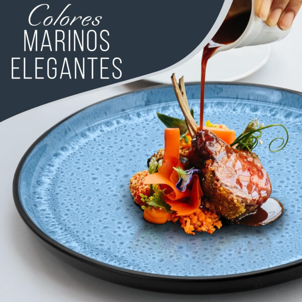 Plato elegante de colores marinos para presentar comida Elegant marine-colored plate for food presentation