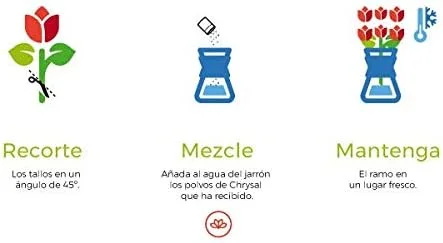 Ramo de 15 Rosas Rojas - Lyon - Envío de Ramos de Flores Naturales a Domicilio 24H Gratis - Flores Frescas - Tarjeta dedicatoria incluida de Regalo - Caja Especial para Ramos de Flores Naturales… - Imagen 3