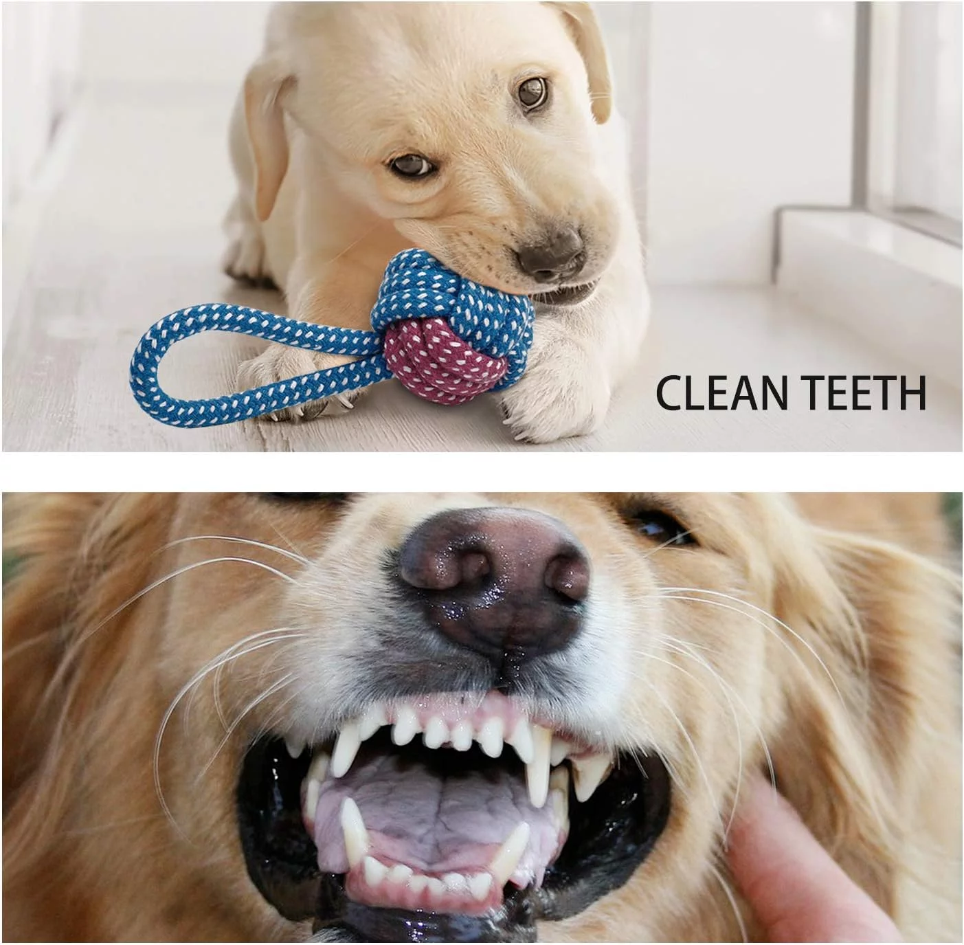 Toozey Juguetes para Perros, Juguetes para Cachorros, 7 Juguetes para Cachorros a Partir de 8 semanas, Juguetes interactivos para Perros para aburrimiento, Juguetes masticables para Perros pequeños y - Imagen 5