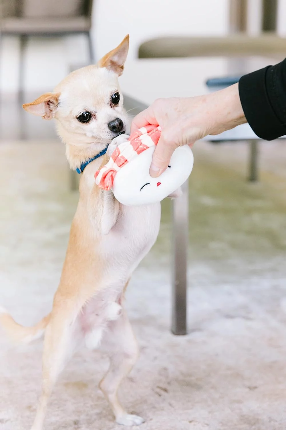 Pearhead Juguetes para Mascotas de Sushi, Juego de Juguetes para Perros chirriantes de Peluche, Accesorio imprescindible para el dueño de Mascotas, Juego de 3 - Imagen 9