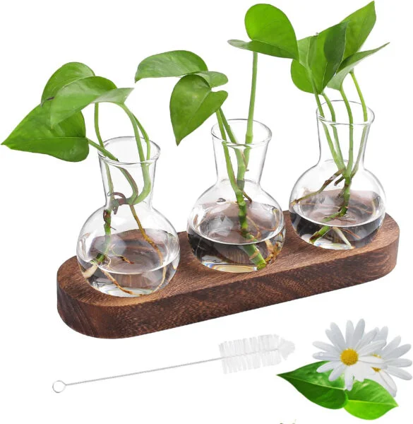 Cyiecweu Florero Vintage Jarrones Pequeños para Decoración De Mesa, Estación De Propagación De Plantas para Sala De Estar, Tubos De Vidrio Modernos para Flores con Soporte De Madera