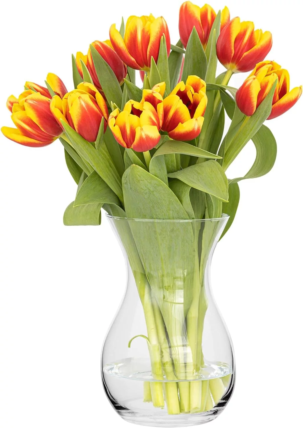 TREND FOR HOME Jarrón de Vidrio Cristal Jarrón de Flores de Cristal Florero de Vidrio Transparente Decoracion Salon Contenedor Decorativo | Altura 18 cm | Poppy | 1229 ml - Imagen 3
