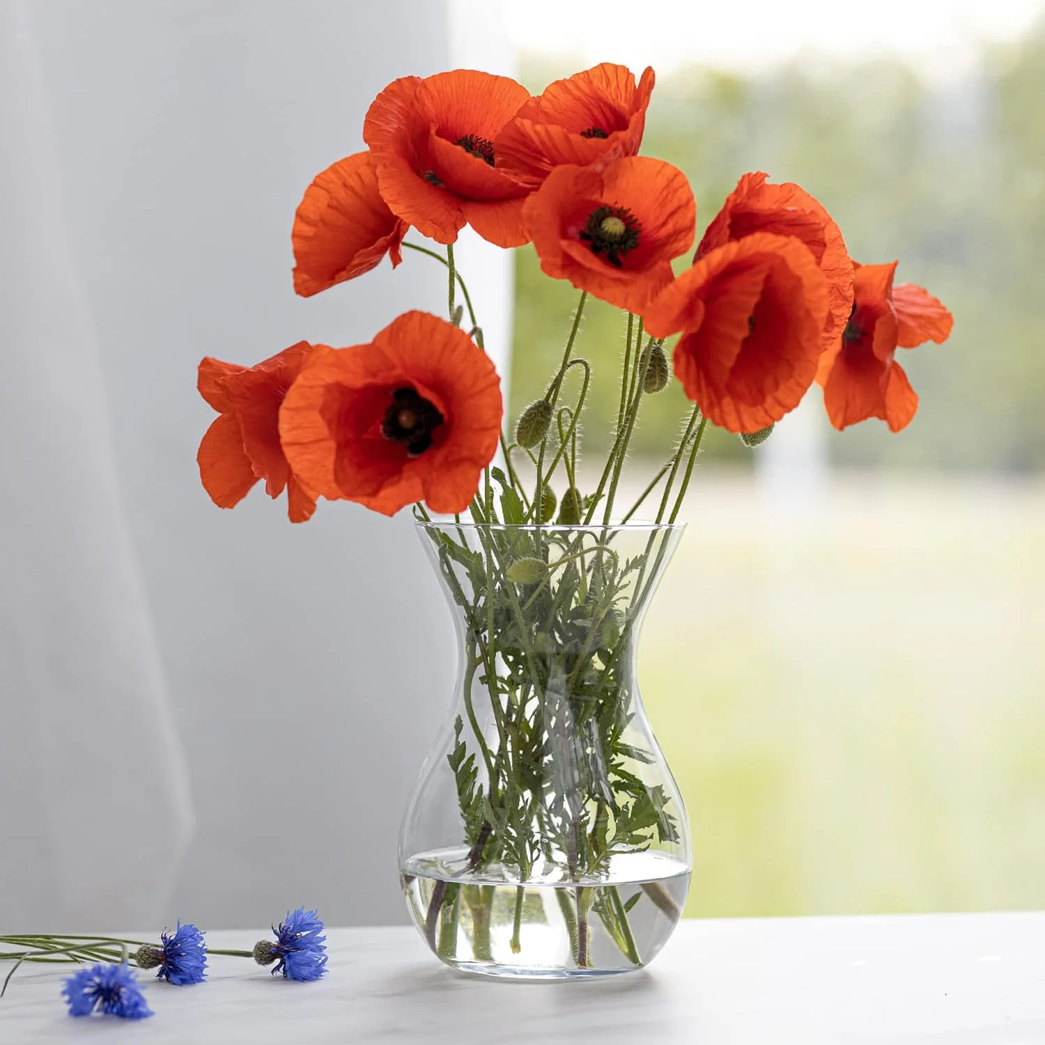 TREND FOR HOME Jarrón de Vidrio Cristal Jarrón de Flores de Cristal Florero de Vidrio Transparente Decoracion Salon Contenedor Decorativo | Altura 18 cm | Poppy | 1229 ml - Imagen 6
