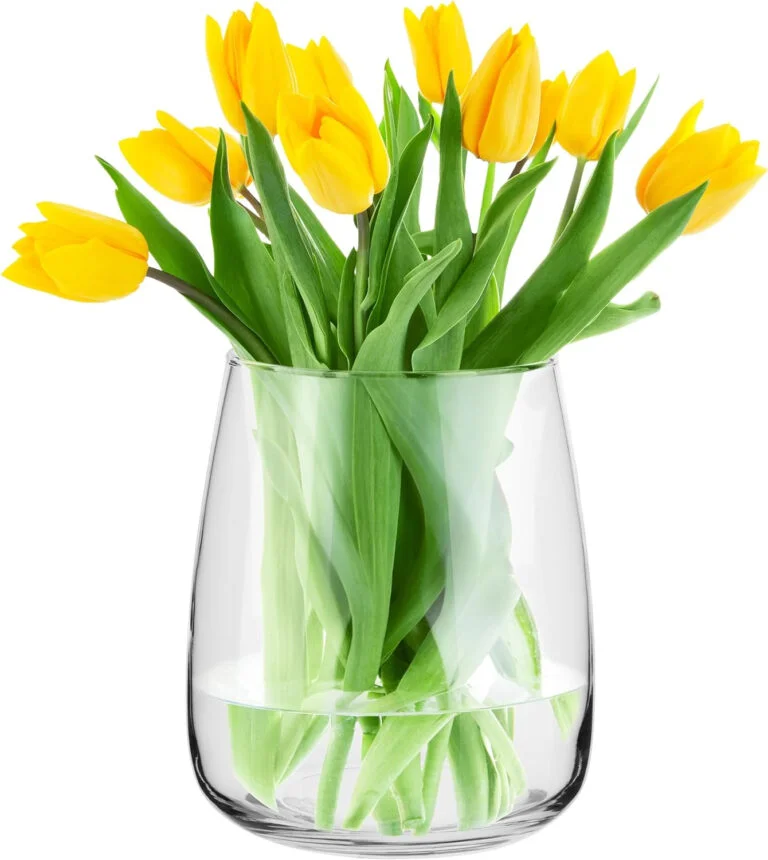 TREND FOR HOME Jarrón Decorativo A: 22.7 cm Vidrio Transparente Florero Redondo Jarrones para Rosas Pampa Tulipanes Flores Secas Centro de Mesa Decorativo Salon | Ø 19 cm | 5090 ml | Zinnia