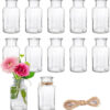 12pcs Jarrones Pequeños de Cristal, 250 ml Juego de Floreros de Cristal, Pequeños De Cristal Jarrón De Flores, jarrones de Mesa, Botellas de Cristal para Decoración del Hogar y Salón, Boda