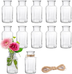 12pcs Jarrones Pequeños de Cristal, 250 ml Juego de Floreros de Cristal, Pequeños De Cristal Jarrón De Flores, jarrones de Mesa, Botellas de Cristal para Decoración del Hogar y Salón, Boda