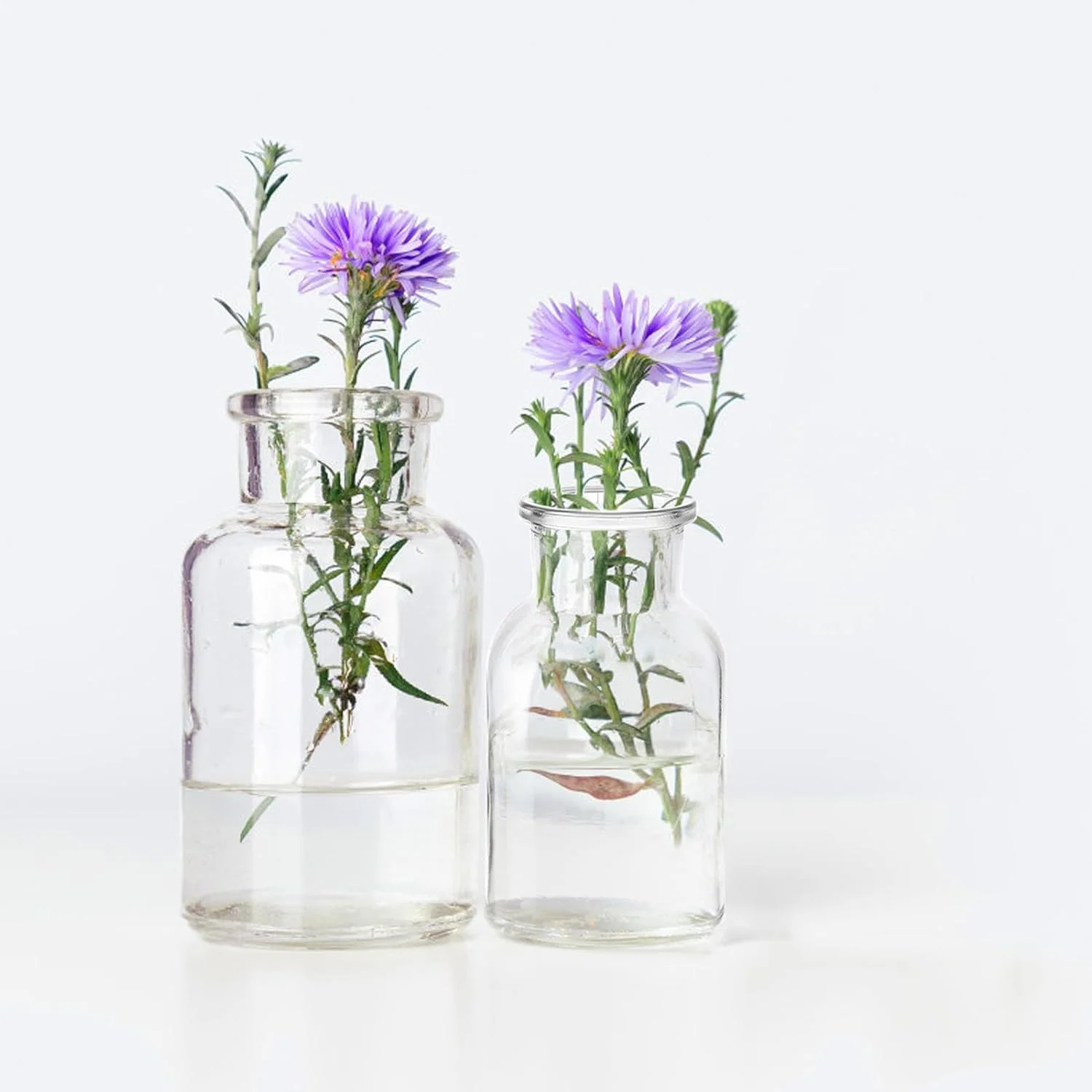 12pcs Jarrones Pequeños de Cristal, 250 ml Juego de Floreros de Cristal, Pequeños De Cristal Jarrón De Flores, jarrones de Mesa, Botellas de Cristal para Decoración del Hogar y Salón, Boda - Imagen 7