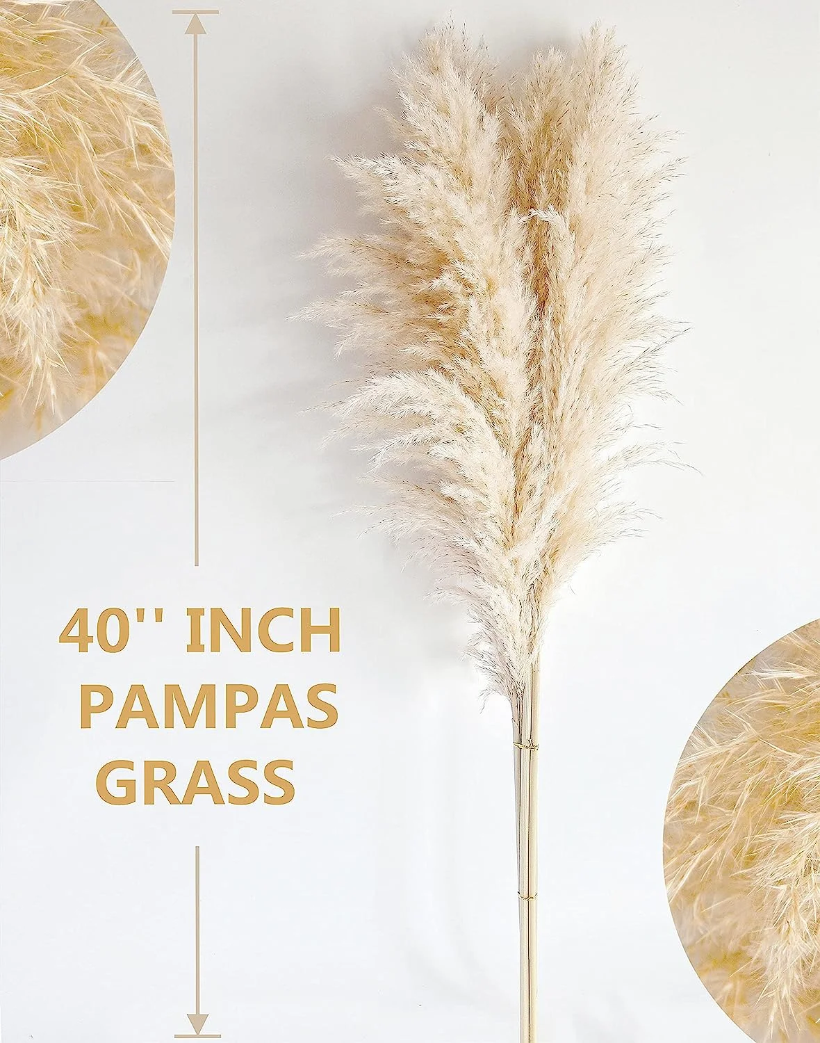 Bannifll Hierba de Pampas Natural de 40 Pulgadas de Altura con 10 Tallos Bodas, Fiestas, decoración de Estilo Granja y Boho en el hogar - Imagen 3