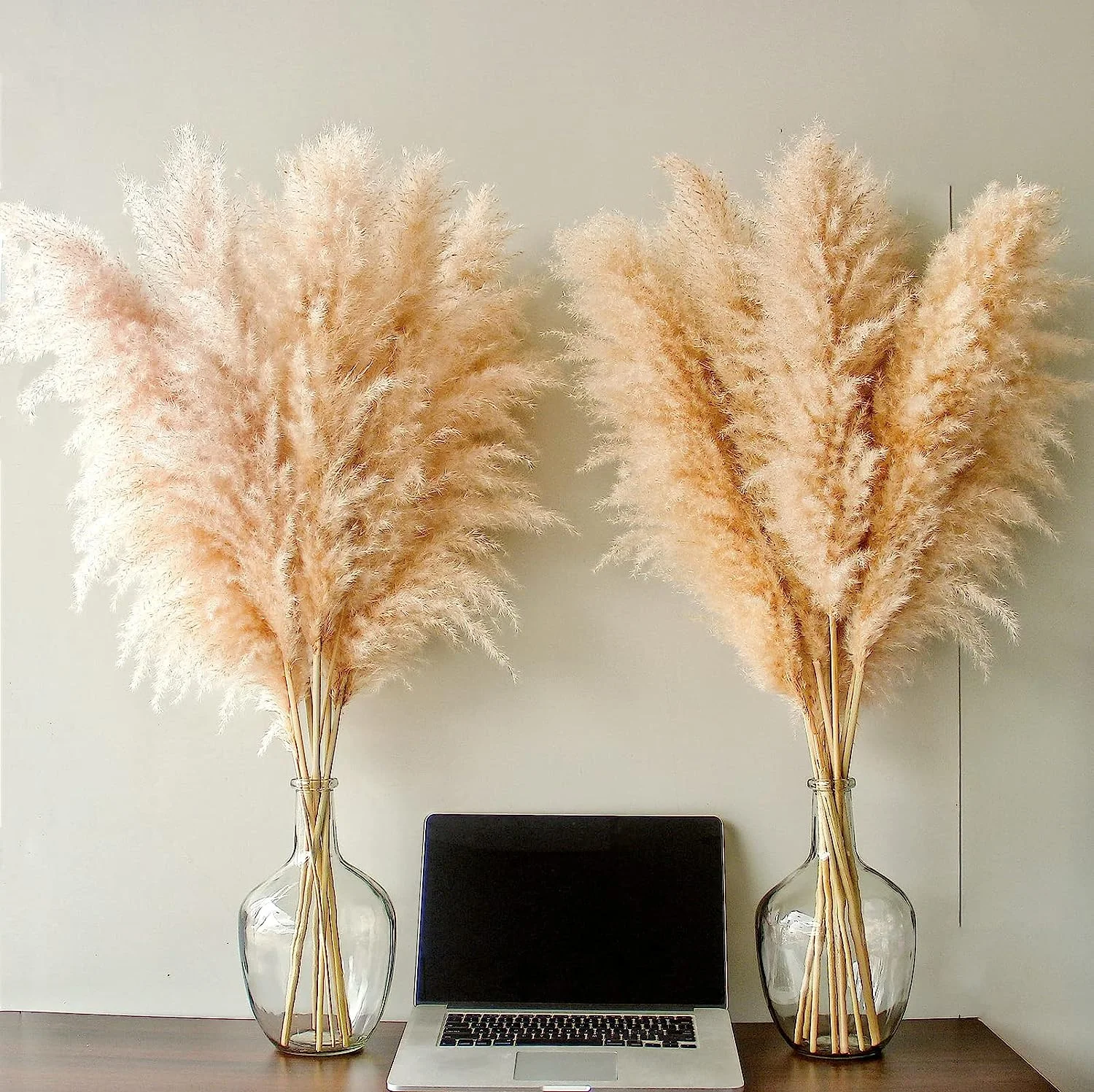Bannifll Hierba de Pampas Natural de 40 Pulgadas de Altura con 10 Tallos Bodas, Fiestas, decoración de Estilo Granja y Boho en el hogar - Imagen 4