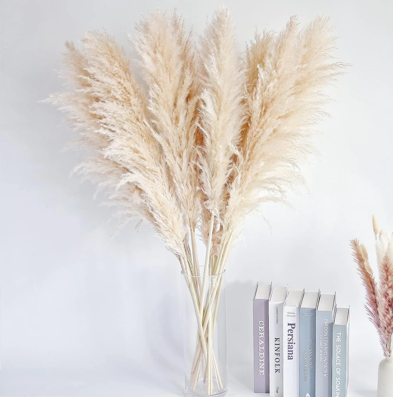 Bannifll Hierba de Pampas Natural de 40 Pulgadas de Altura con 10 Tallos Bodas, Fiestas, decoración de Estilo Granja y Boho en el hogar - Imagen 6