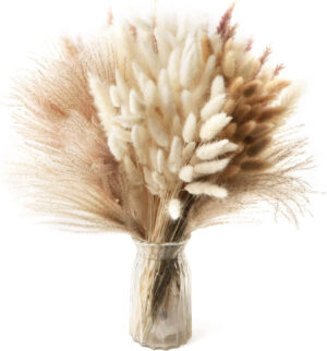 185 Piezas Pampas Secas Decoracion Ramo de Flores Secas Naturales Hierba de la Pampa Blanca Cañas Marrones Cola de Conejo Grass para Fiestas Bodas Jarrones Boho Decoración, 42 CM