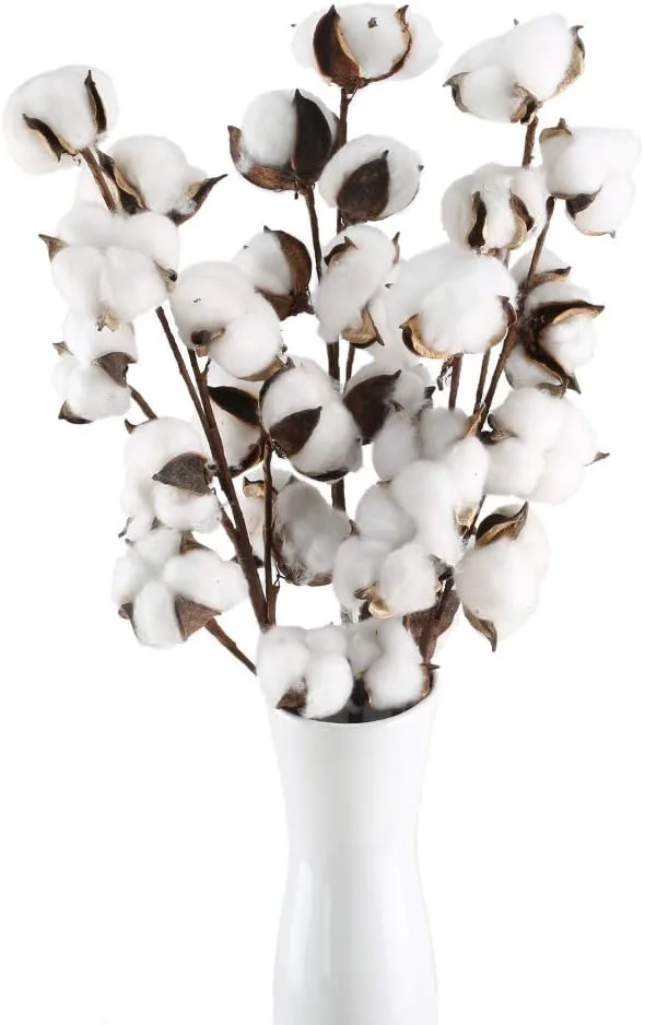 HUAESIN 3pcs Ramo Flores Secas Naturales Blancas 53cm Rama de Algodon Natural con 10 Cabeza de Flores Algodon Decoracion Planta Seca para Boda Fiesta Jarrones Mesa Hogar Navidad Decoracion Granja