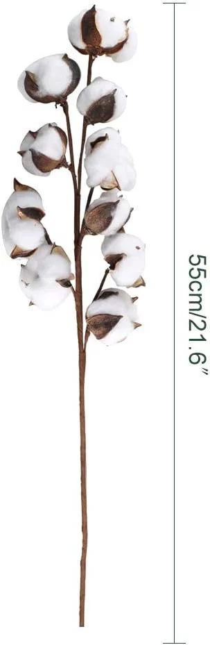 HUAESIN 3pcs Ramo Flores Secas Naturales Blancas 53cm Rama de Algodon Natural con 10 Cabeza de Flores Algodon Decoracion Planta Seca para Boda Fiesta Jarrones Mesa Hogar Navidad Decoracion Granja - Imagen 7