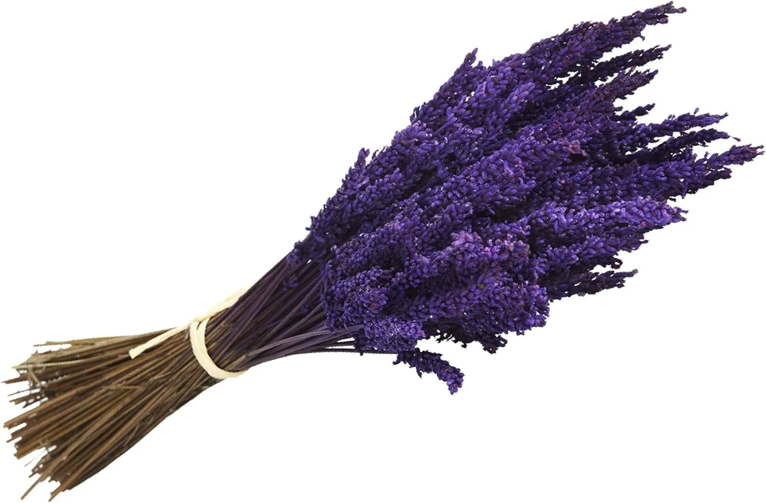 Lavanda Experience, Ramo de Flores Naturales de Lavanda Preservada de Cultivo Ecológico en la Cuenca Mediterránea, Elaborado Artesanalmente con Productos de Primeras Calidades