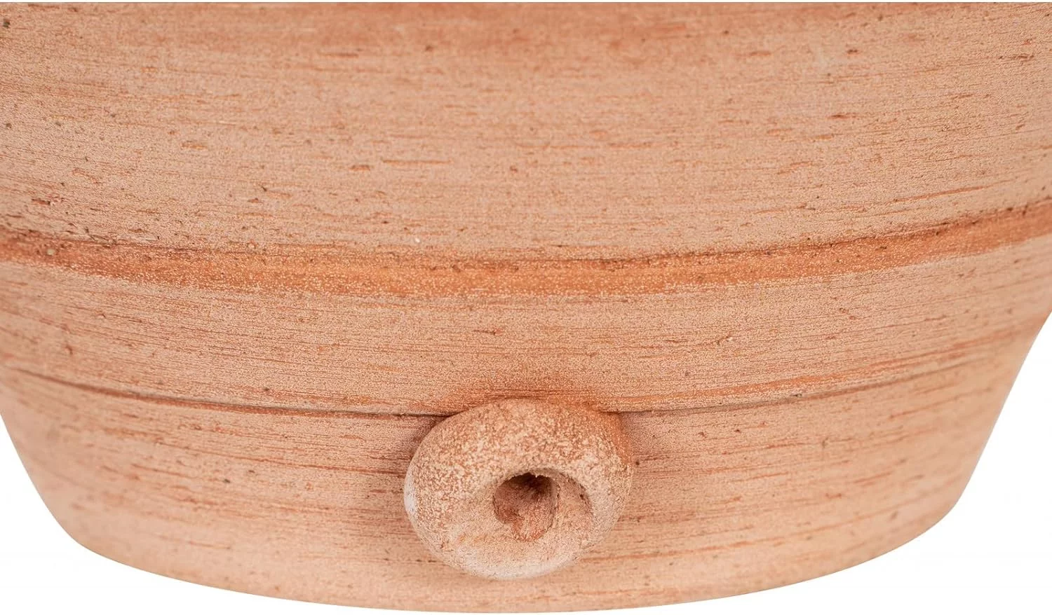 Biscottini Maceteros Decorativos Interior de Terracota L28xPR25xH30 - Vasos para hogar - Jarrones Decorativos Modernos - Macetas Decorativas Interior - Macetas Decorativas - Imagen 7