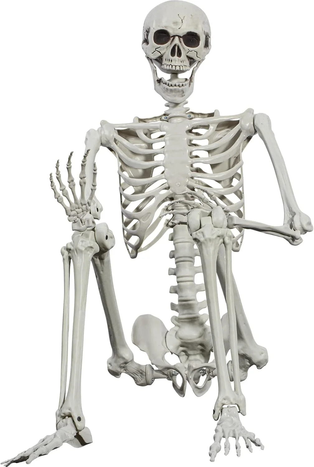 SIFOEL 165cm Esqueleto móvil de Hueso Humano de tamaño Real Real con articulaciones móviles para la decoración de Casas embrujadas de Halloween