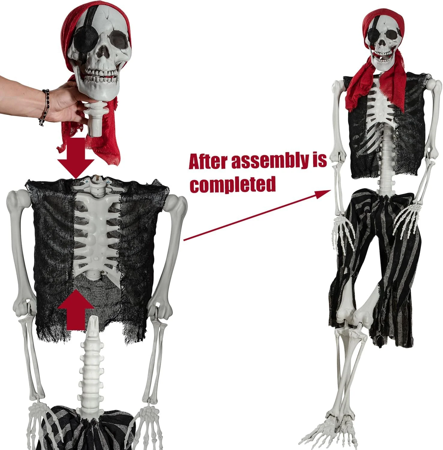 SIFOEL 165cm Esqueleto móvil de Hueso Humano de tamaño Real Real con articulaciones móviles para la decoración de Casas embrujadas de Halloween - Imagen 4