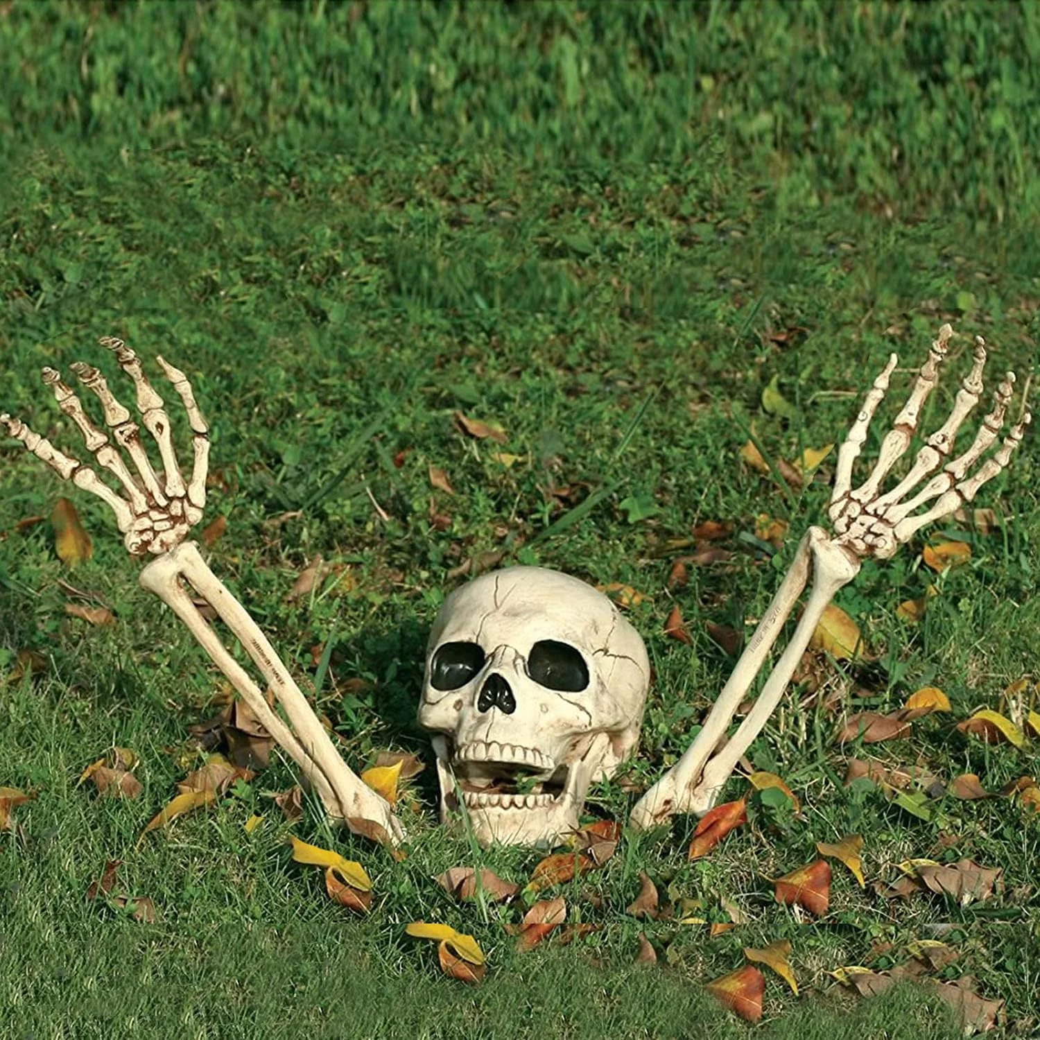 Esqueleto Falso Realista para Decoración de Halloween