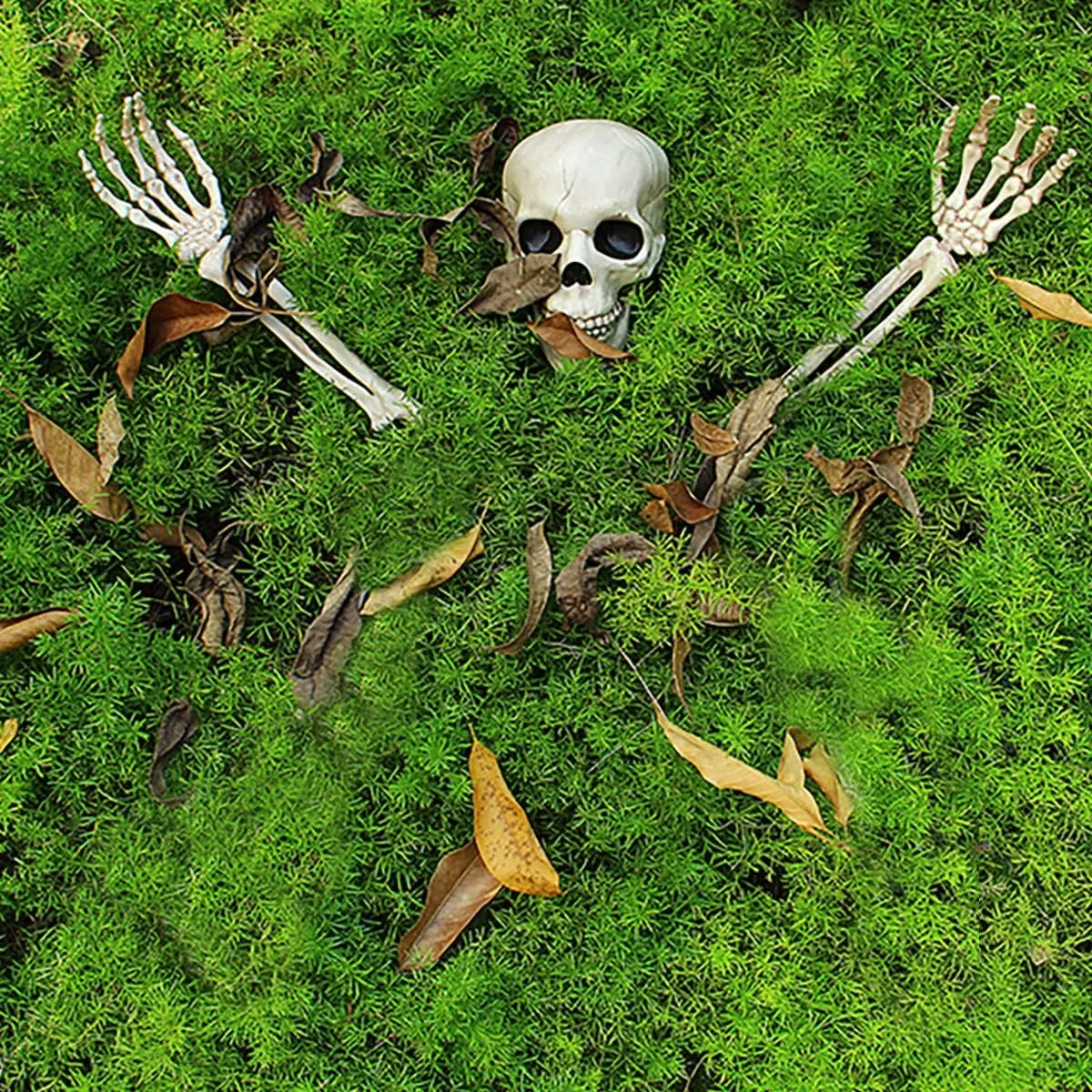 Jonami Decoración Halloween De Cabeza Y Manos De Esqueleto Falso, 3 pcs. Cráneo Falso con Huesos De Mano Realista, Decoración de Halloween De Fiesta En Casa - Imagen 4