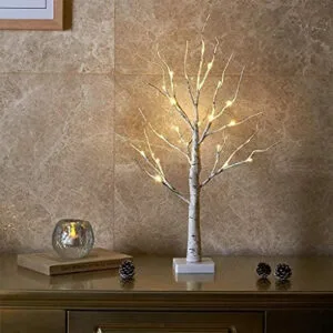 EAMBRITE Árbol de Luces para Interior con 24 Luces LED de Color Blanco cálido (60 cm), Abedul Decorativo para decoración Interior en Navidad, Fiestas, cumpleaños y Bodas