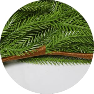 Corona de vegetación navideña