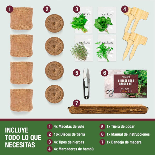 Mini Huerto Urbano Vintage de Plantas Aromáticas y Culinarias (Tomillo Albahaca Perejil y Cilantro) - Semillas Orgánicas de España - Kit Completo para Cultivar tus Hierbas Frescas en Casa - Imagen 2