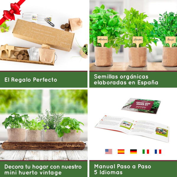 Mini Huerto Urbano Vintage de Plantas Aromáticas y Culinarias (Tomillo Albahaca Perejil y Cilantro) - Semillas Orgánicas de España - Kit Completo para Cultivar tus Hierbas Frescas en Casa - Imagen 3