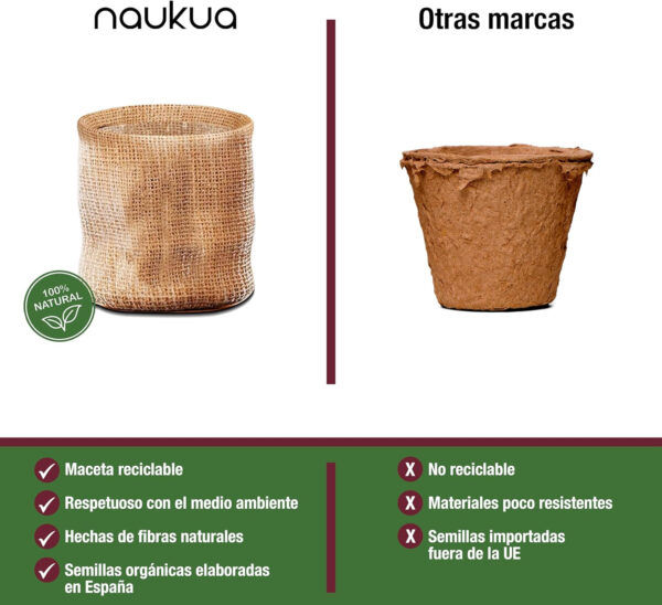 Mini Huerto Urbano Vintage de Plantas Aromáticas y Culinarias (Tomillo Albahaca Perejil y Cilantro) - Semillas Orgánicas de España - Kit Completo para Cultivar tus Hierbas Frescas en Casa - Imagen 4