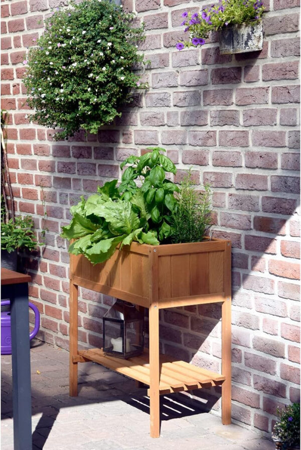 dobar - Huerto Urbano de Madera con repisa, Kit de construcción de vivero para Verduras y Hierbas en el jardín y balcón, Color marrón, 76 x 40 x 80 cm, 58250e - Imagen 4