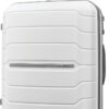 Samsonite Freeform Hardside Spinner 24