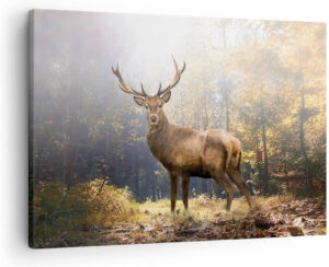 ARTTOR Lienzos decorativos Luz Ciervo Bosque Cuadro Sobre Lienzo Moderno 70x50cm Cuadros Decoracion Salon Dormitorio Cocina Cuadros Pared Imágenes Wall Art Prints Decor Canvas AA70x50-4452