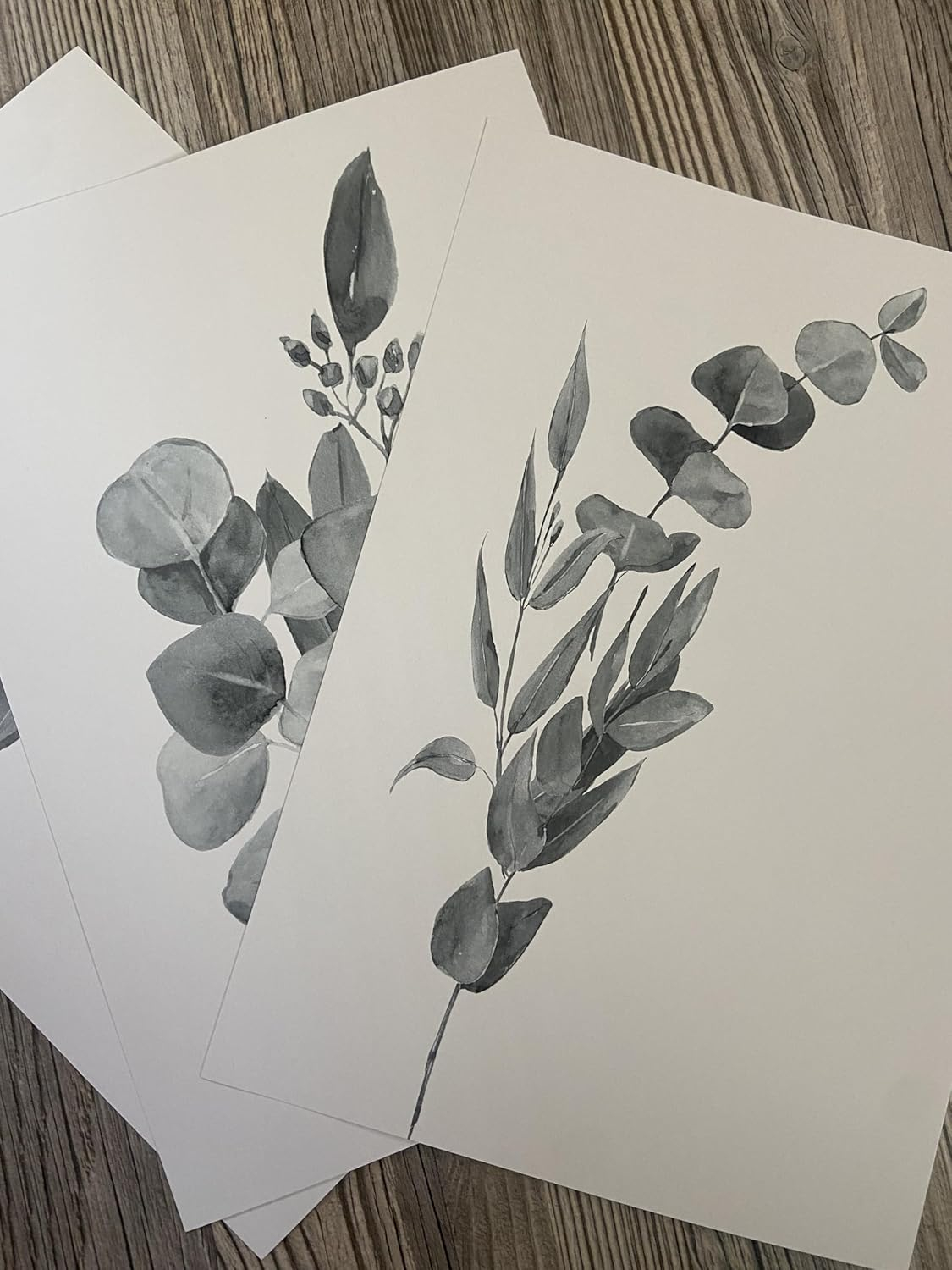Eviepops Prints Arte De Pared Con Plantas De Eucalipto, Set de 3 Láminas Sin Marco, Arte de pared de estilo botánico, Decoración De Plantas Tropicales, Estampado Tropical Gris (A4) - Imagen 2