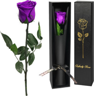 Yamonic Rosa Eterna Regalos para Mujer, Rosa Preservada con Tallo Regalo Cumpleaños Mujer, Flores Preservadas Regalo Mujer Navidad Rosa Eterna Natural Preservada Regalo San Valentín Dia de la Madre